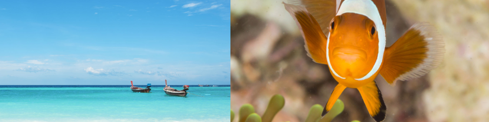 snorkling-thailand
